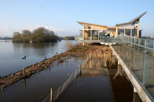 Attenborough Nature Reserve, nature