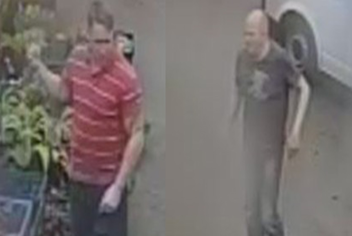appeal for publics help investigating forest town collision