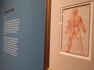 Leonardo-Da-Vinci-Drawings-Nottingham-Castle