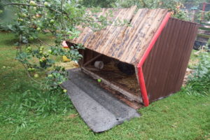 animal-shed-damaged-bird-shed