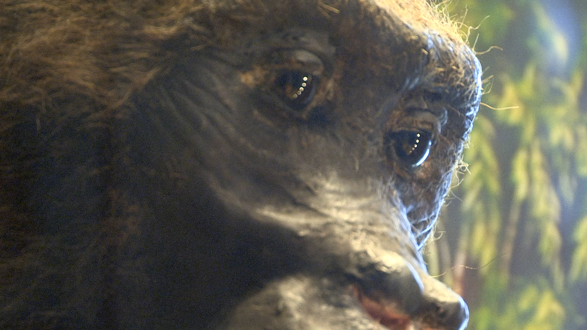 Notts Today, Thursday 17th October 2024 Notts TV News The heart of