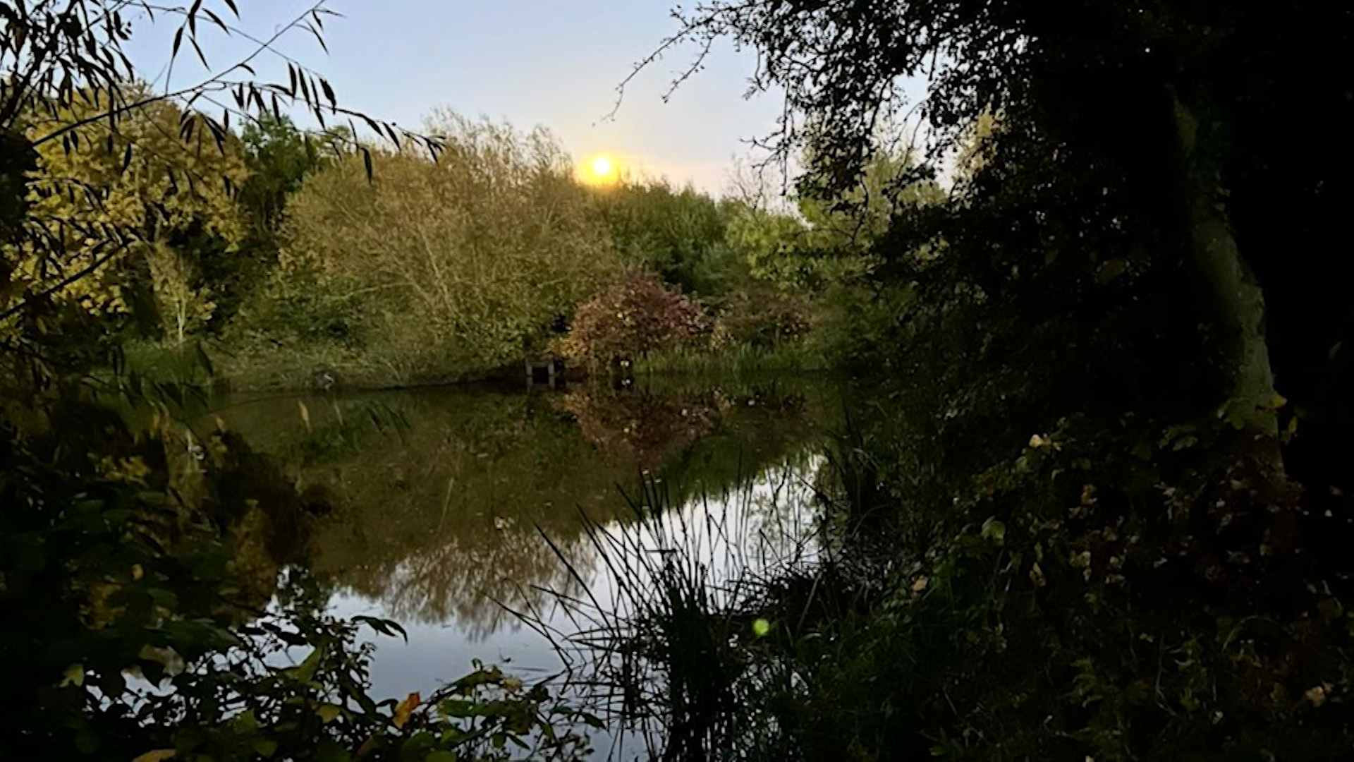 Notts Today, Friday 18th October 2024 Notts TV News The heart of